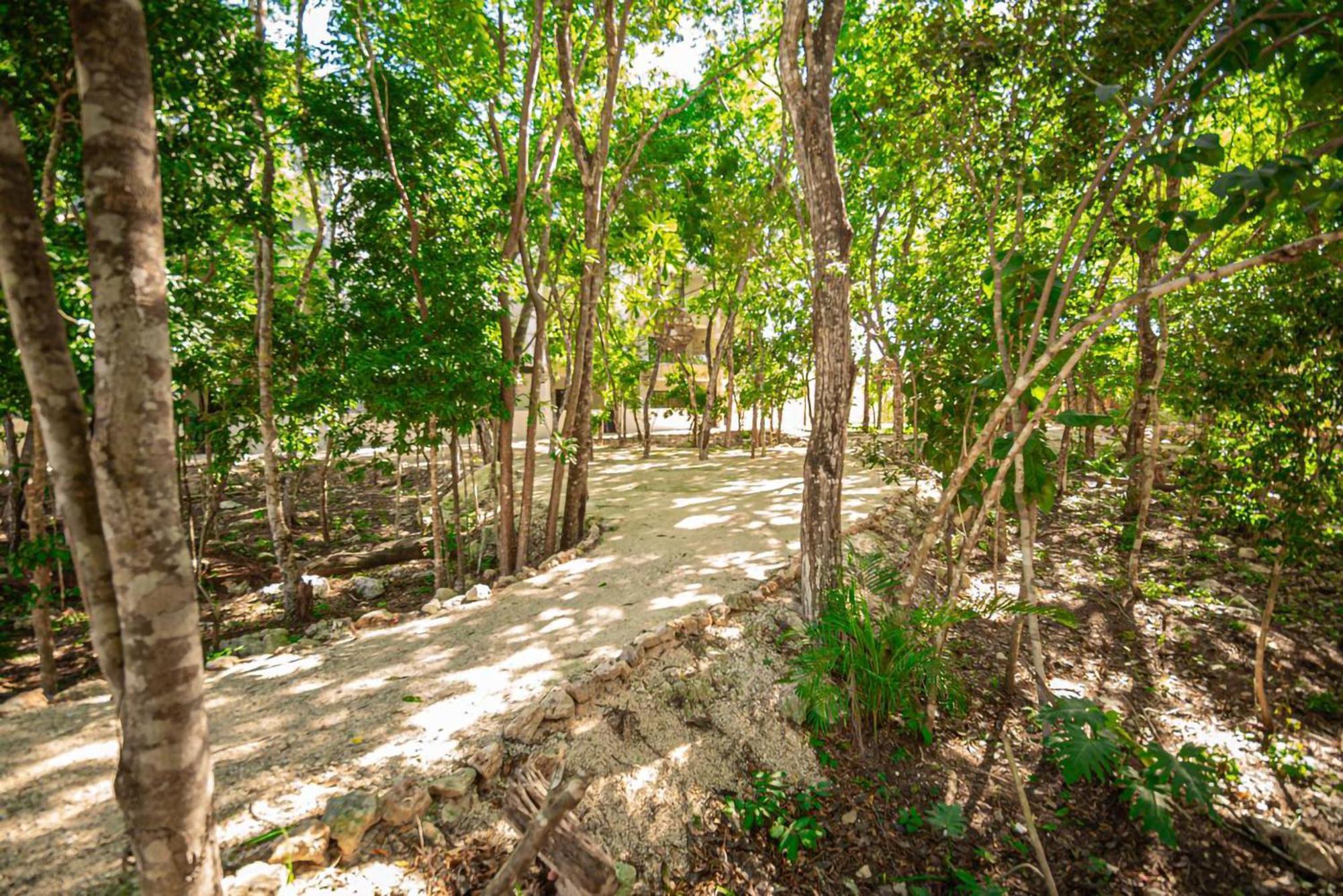 Apartamento My Break Playa del Carmen
